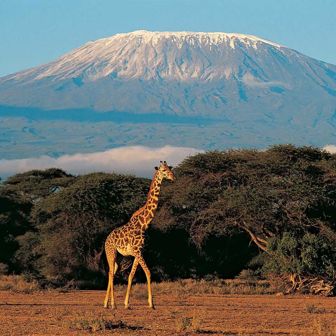 Air France collega Parigi-Charles de Gaulle con Kilimanjaro (Tanzania)