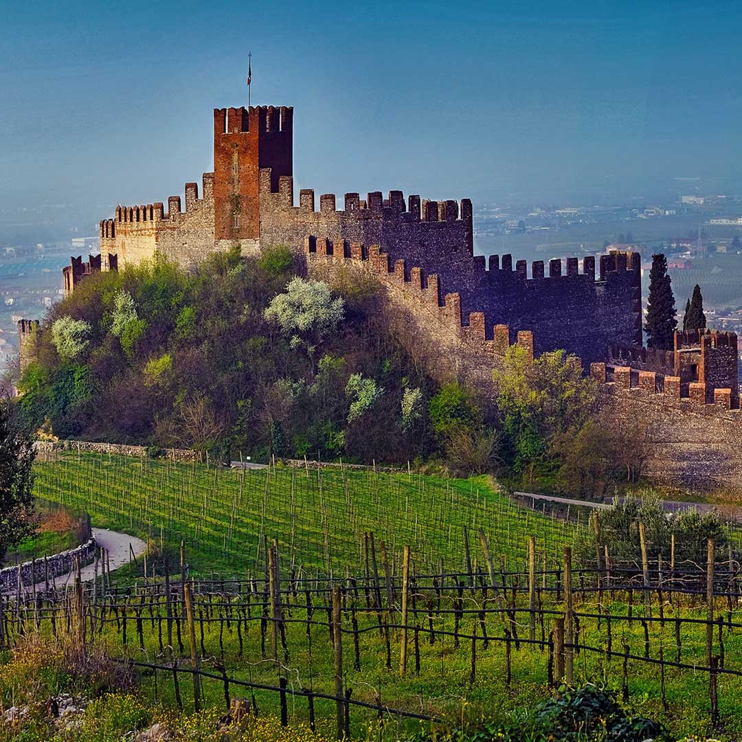 DA VERONA AL GARDA VERONESE, ESPERIENZE ENOTURISTICHE D’ECCELLENZA