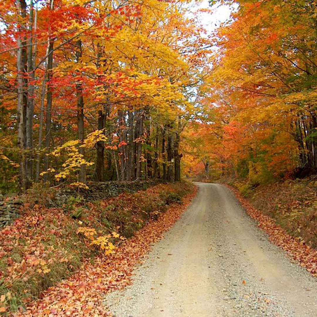 Le feste giungono al termine, ma non il fascino dell’inverno per chi visita The Countryside of Philadelphia!